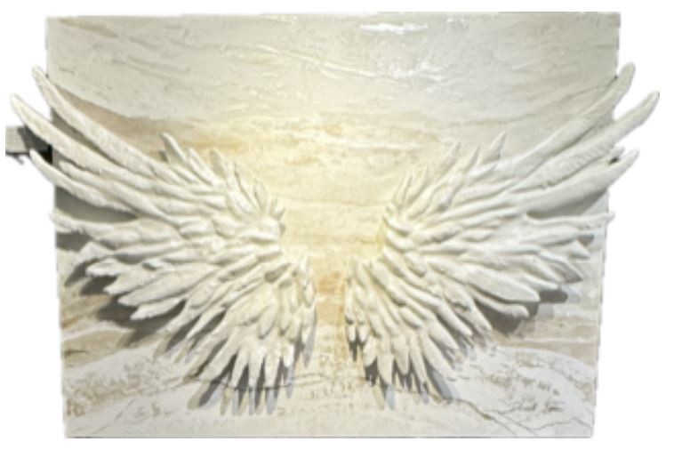 Mended Wings